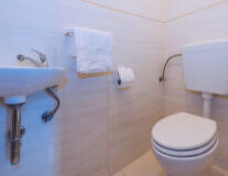 sink, indoor, plumbing fixture, bathtub, toilet, shower, tap, bathroom, bathroom accessory